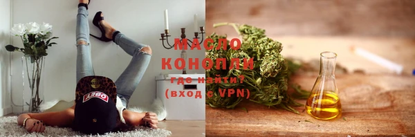 дживик Верхний Тагил