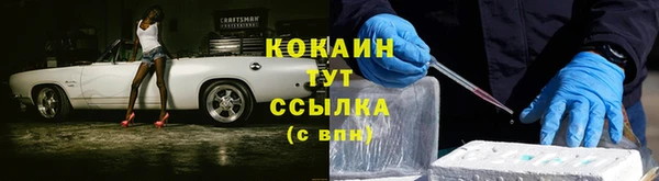 дживик Верхний Тагил