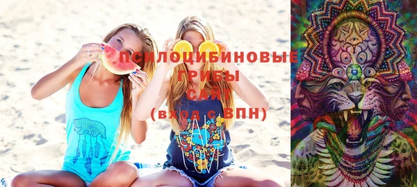 мяу мяу мука Бородино