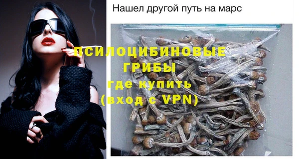 дживик Верхний Тагил