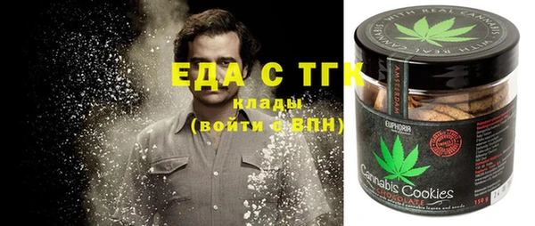 дживик Верхний Тагил