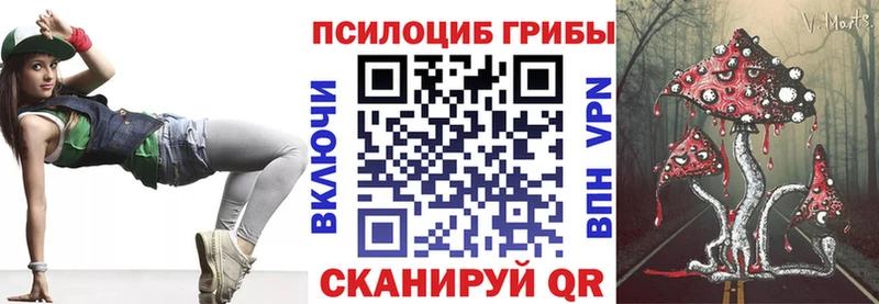 ОМГ ОМГ ССЫЛКА  цена   Катайск  Псилоцибиновые грибы ЛСД 